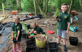 Planting from Hartley Landscapes